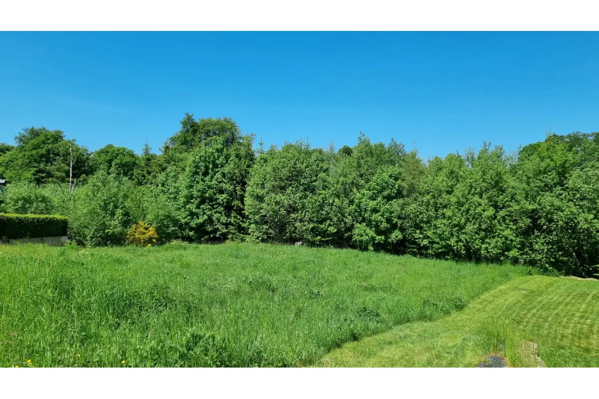 Terrain à vendre à Waimes 4950 99000.00€  chambres m² - annonce 790308