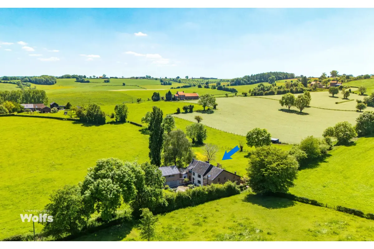 Maison à  à Rémersdael 3791 515000.00€ 6 chambres 275.00m² - annonce 792127