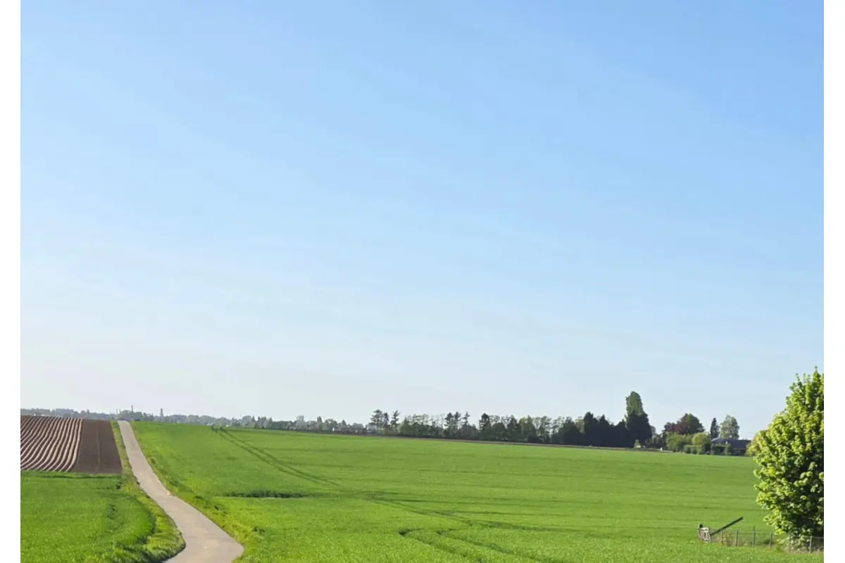 Terrain à vendre à Fize-le-Marsal 4367 575000.00€  chambres m² - annonce 796333