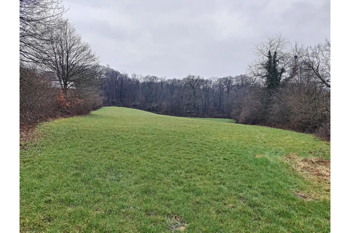 Terrain à bâtir à vendre à Ben-Ahin 4500 159000.00€  chambres m² - annonce 796799