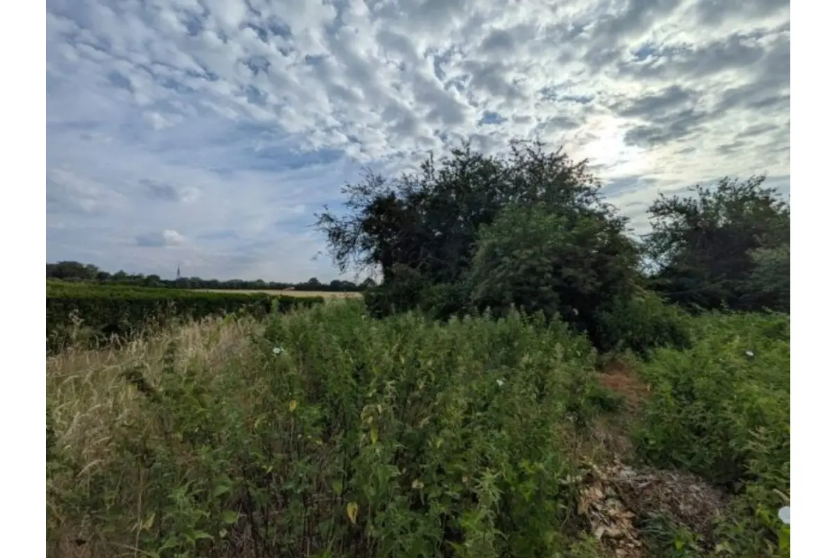 Terrain à vendre à Eynatten 4731 185000.00€  chambres m² - annonce 798266