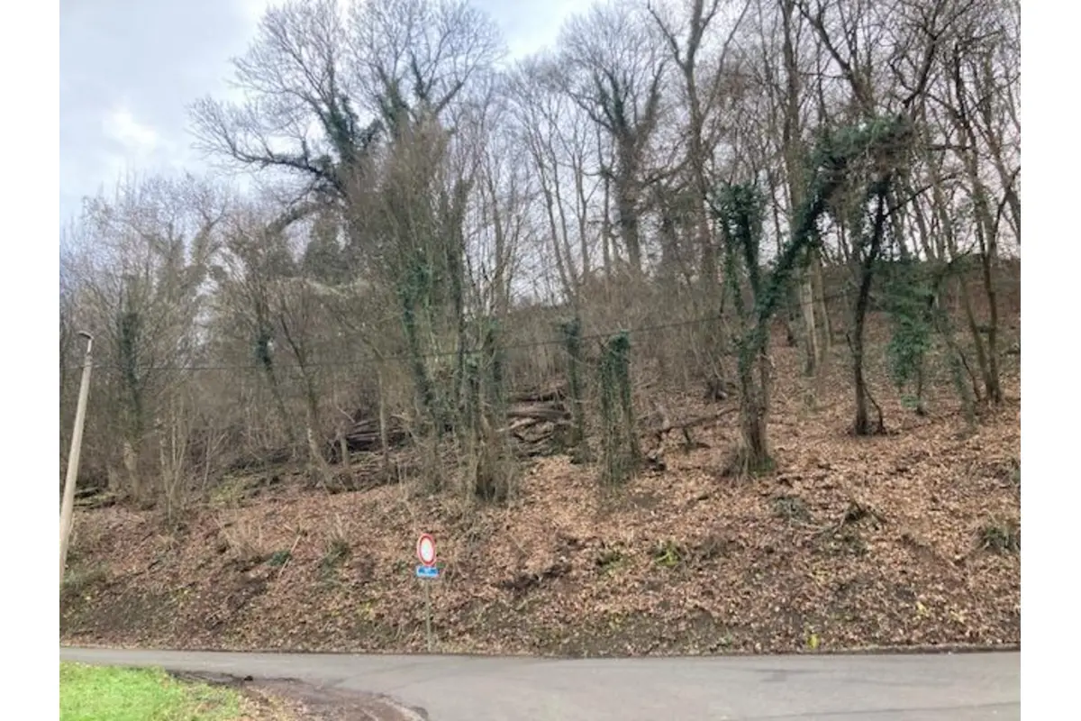 Terrain à vendre à Forêt 4870 56000.00€  chambres m² - annonce 800663