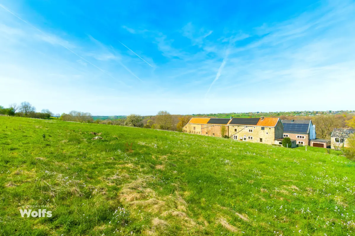 Maison à vendre à Pepinster 4860 399000.00€ 5 chambres 450.00m² - annonce 808130