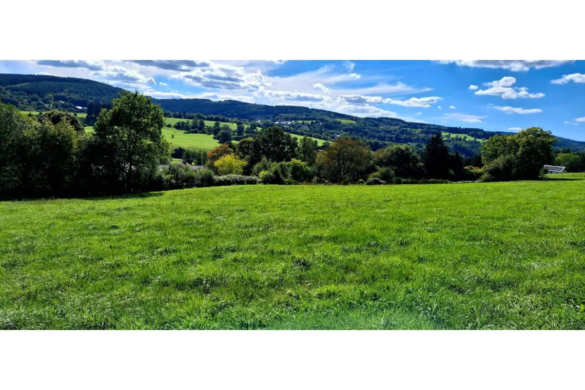 Terrain à bâtir à vendre à Bellevaux-Ligneuville 4960 65000.00€  chambres m² - annonce 810033
