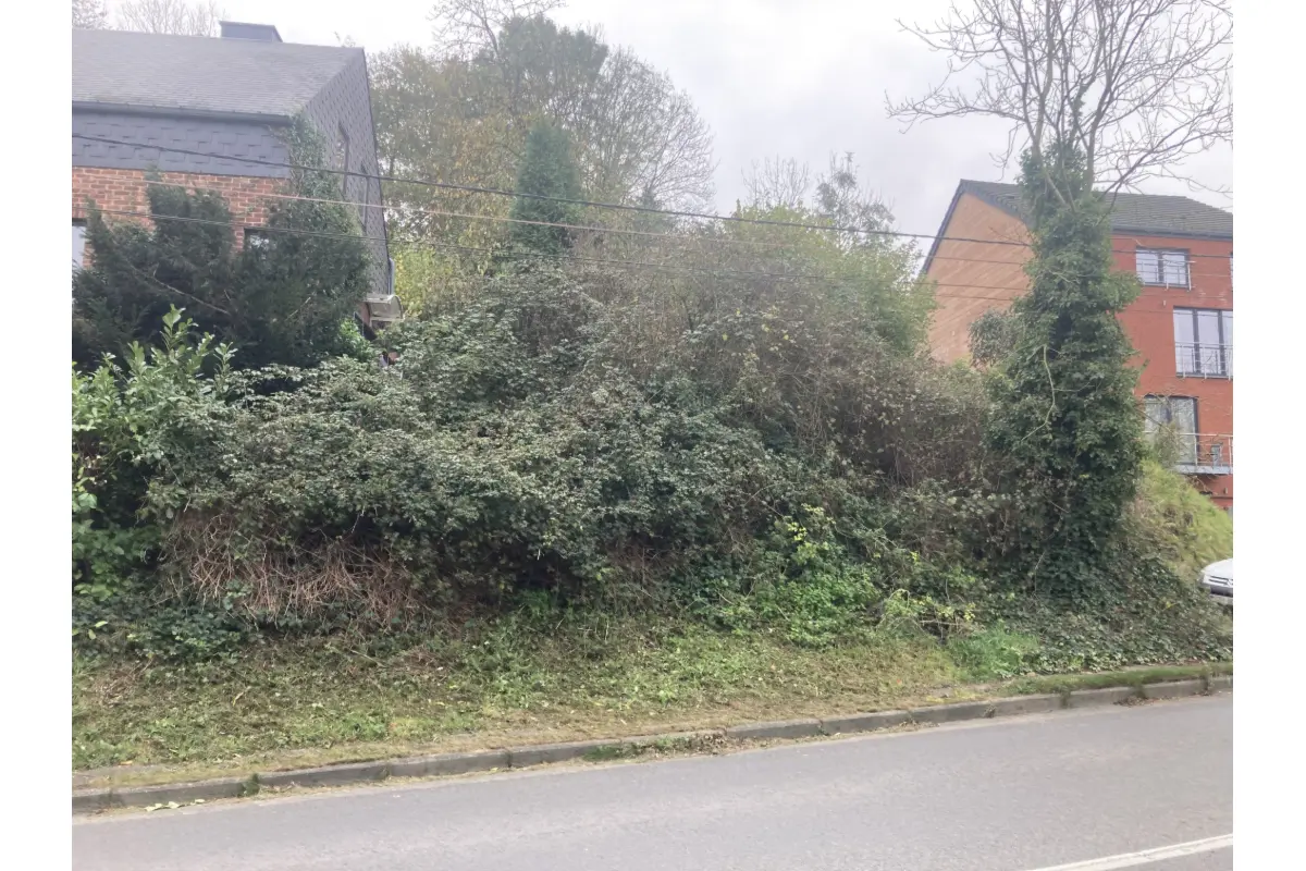 Terrain à bâtir à vendre à Ivoz-Ramet 4400 30000.00€  chambres m² - annonce 810974