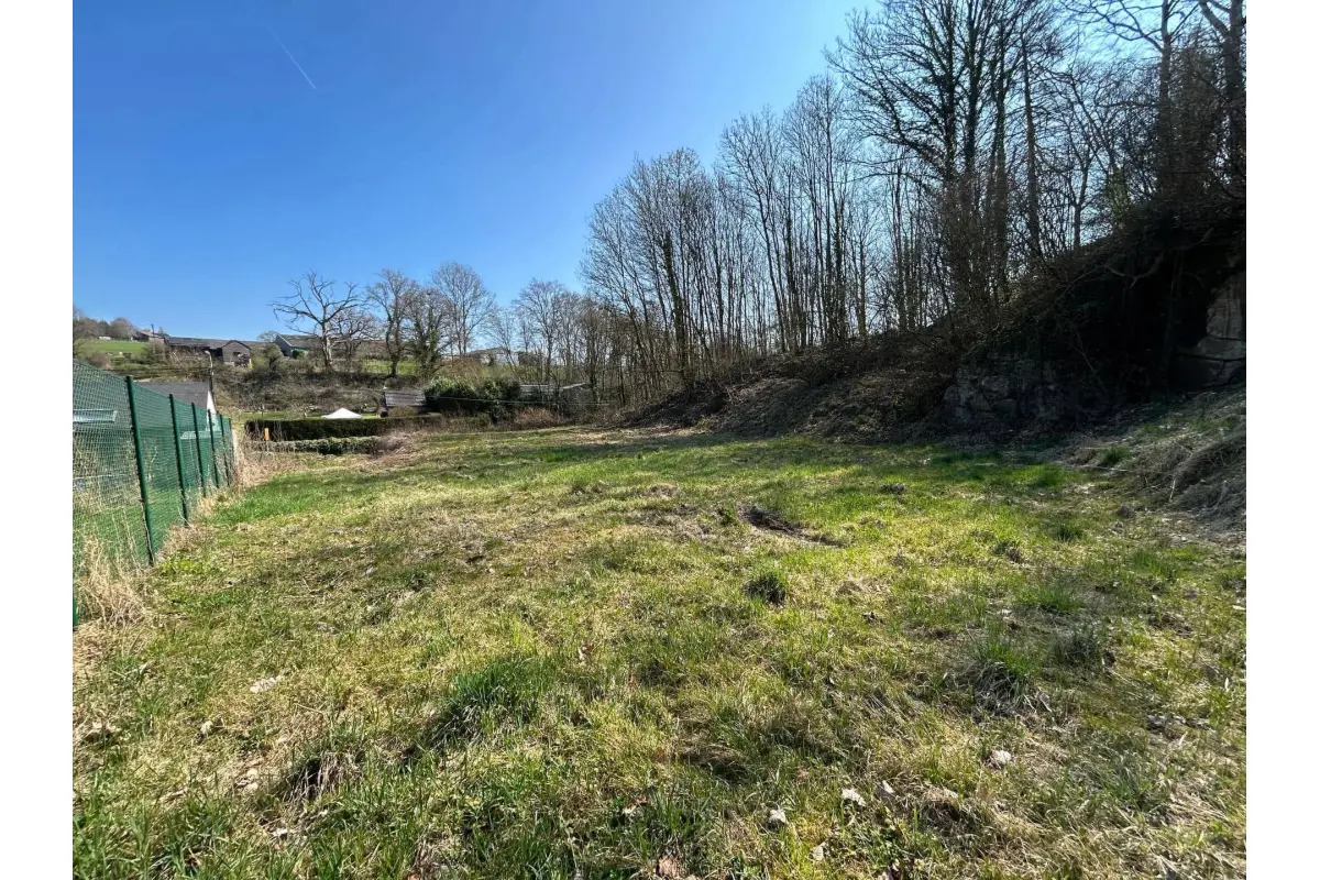 Terrain à vendre à Sprimont 4140 85000.00€  chambres m² - annonce 813027