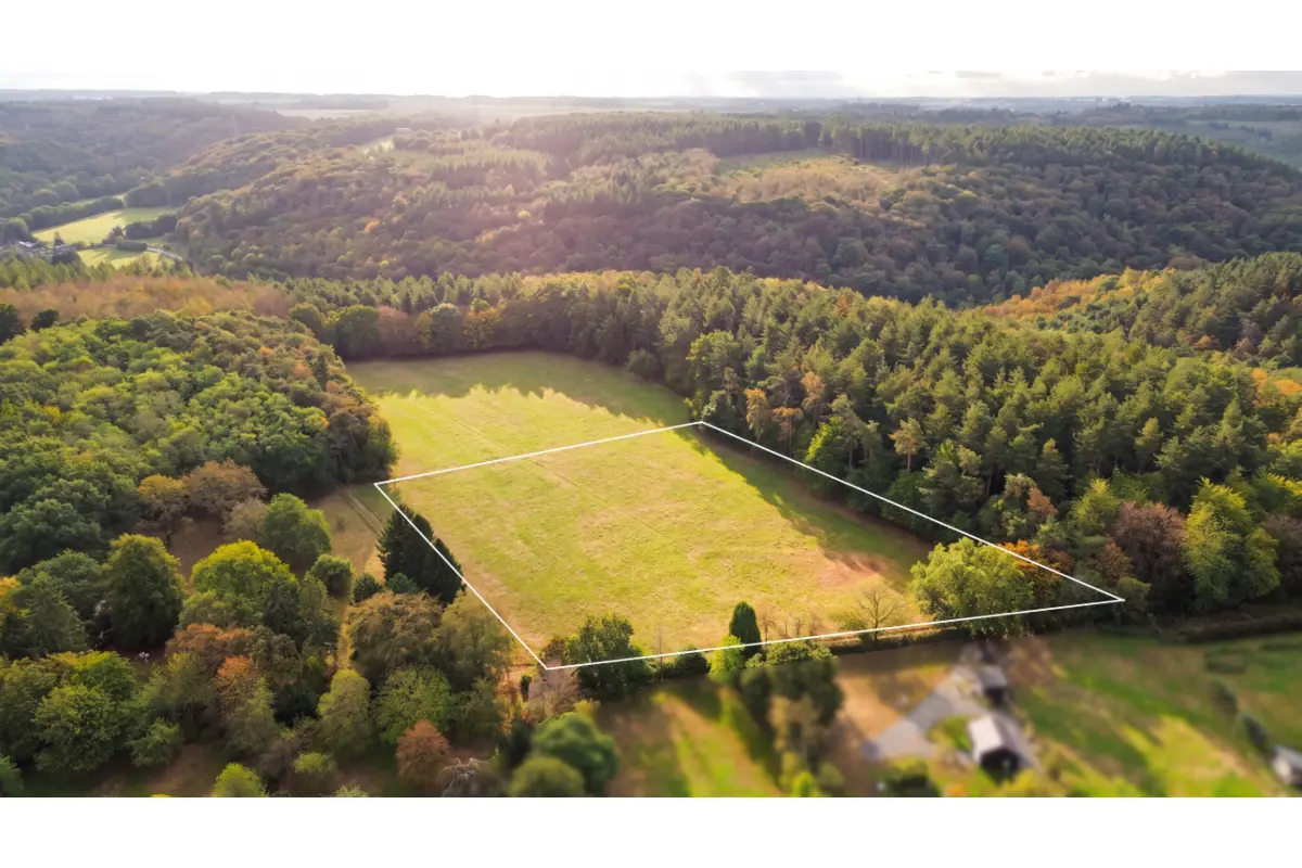 Terrain à vendre à Ombret 4540 45000.00€  chambres m² - annonce 813379