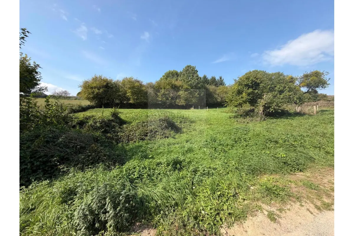 Terrain à vendre à Rouvreux 4140 115000.00€  chambres m² - annonce 818586