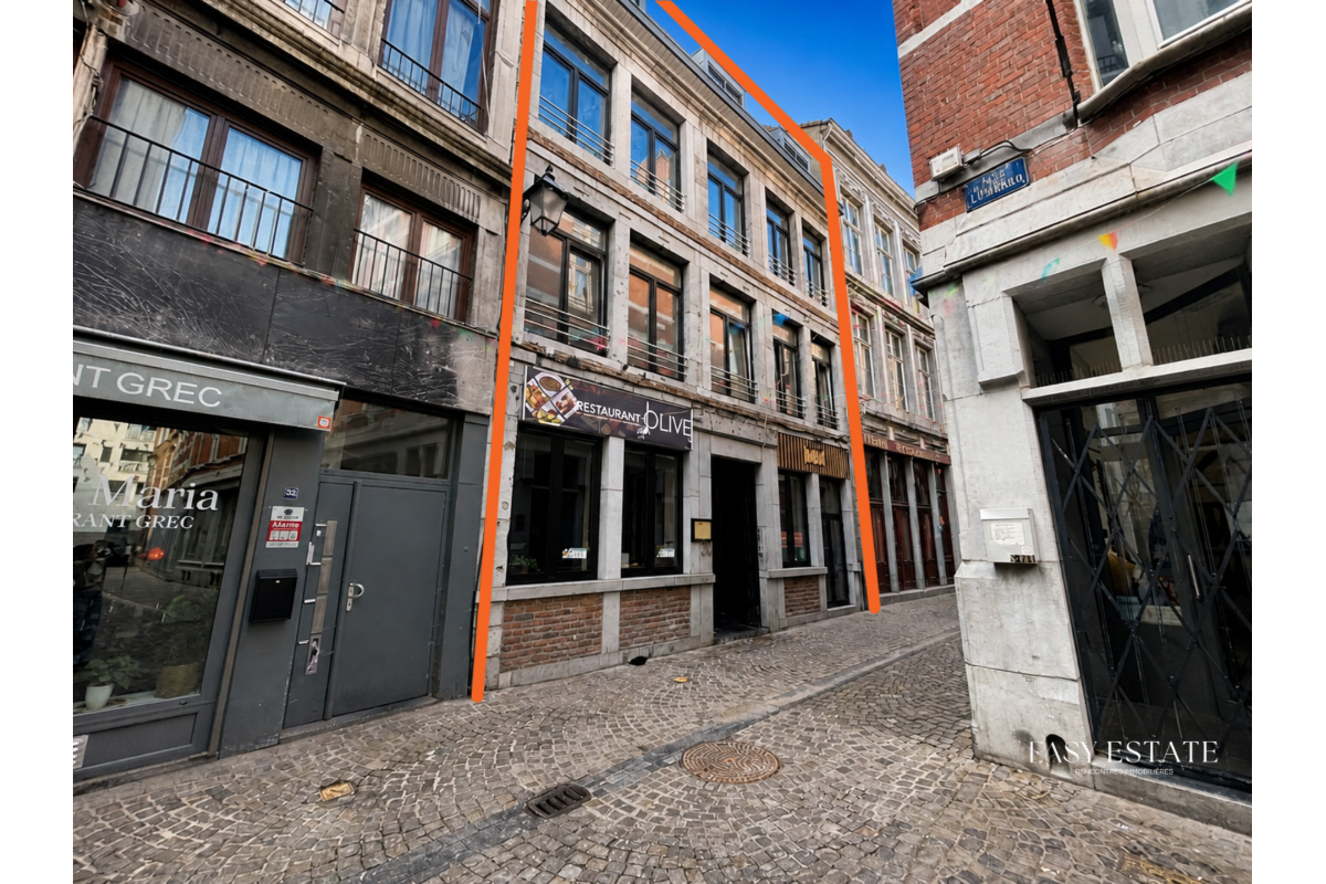Immeuble mixte à vendre à Liège 4000 1900000.00€ 15 chambres 645.00m² - annonce 818903